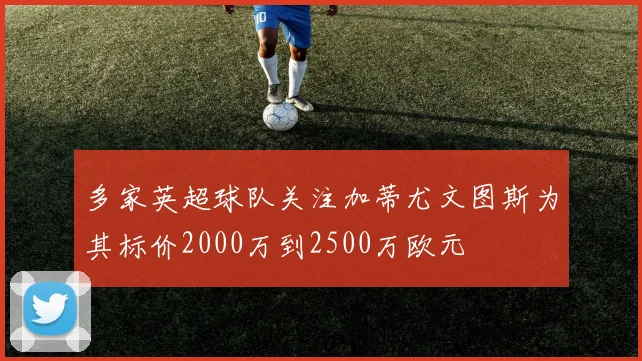 多家英超球队关注加蒂尤文图斯为其标价2000万到2500万欧元
